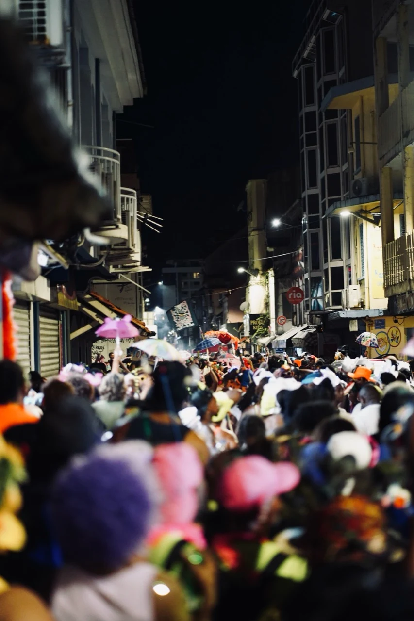 Foule du carnaval avançant dans une rue éclairée la nuit