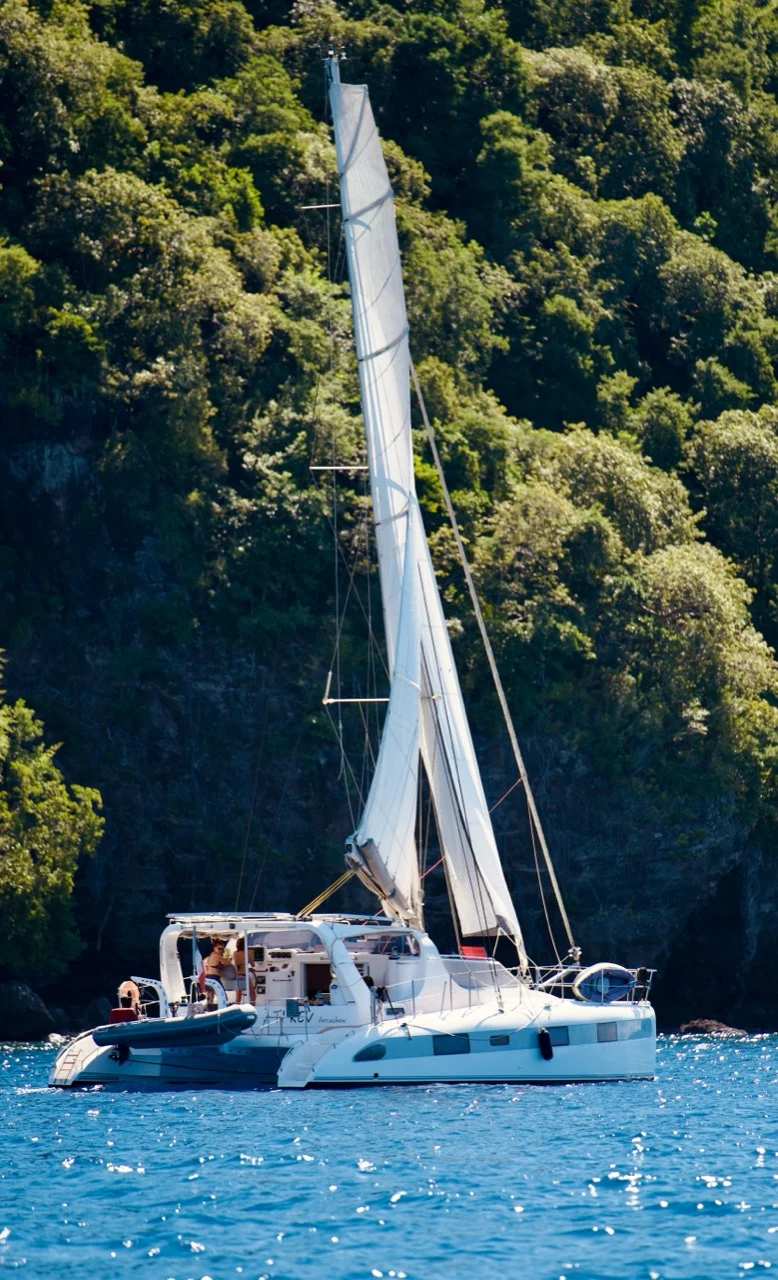 Catamaran blanc au mouillage devant une forêt tropicale