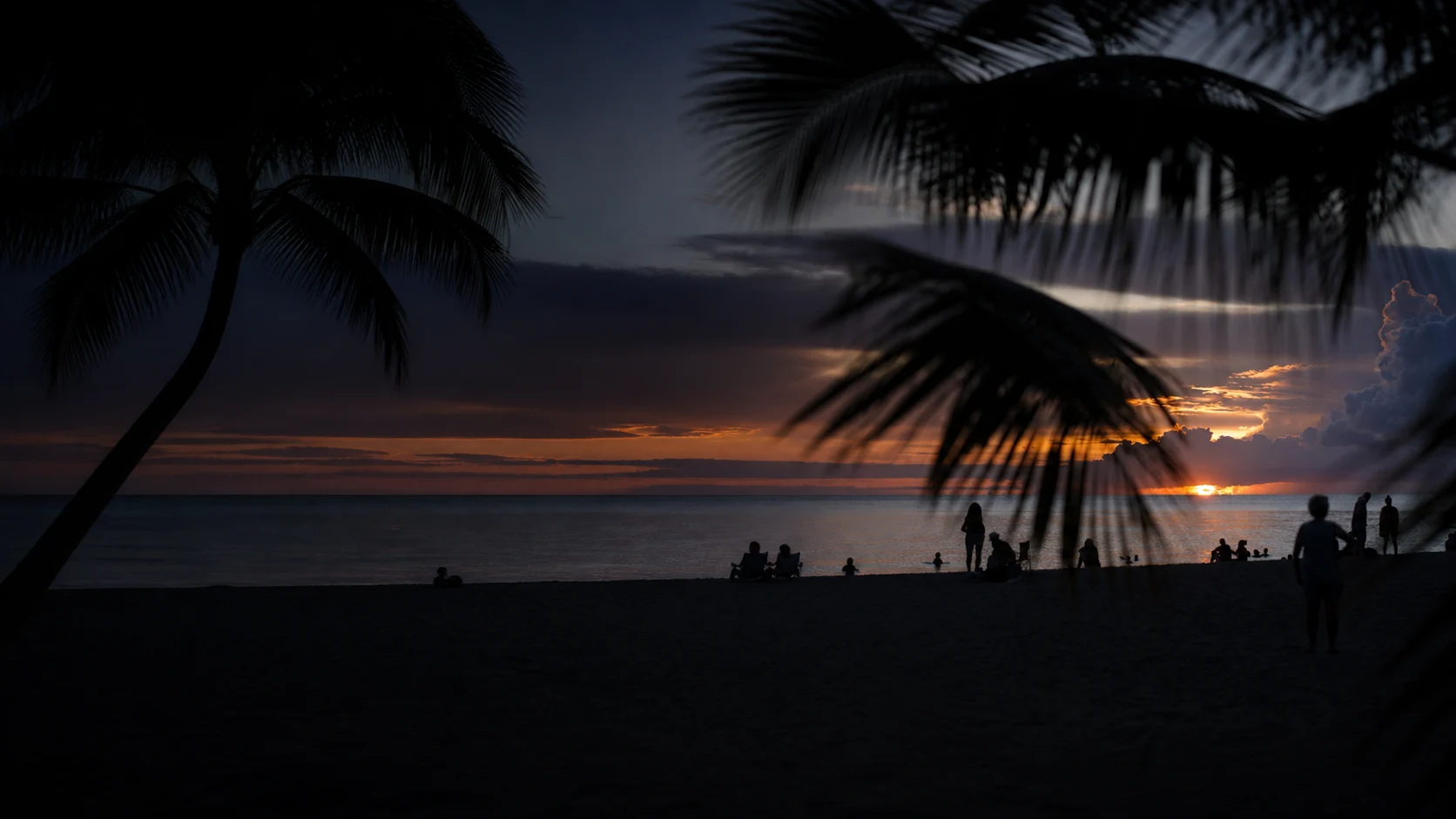 Coucher de soleil sur une plage tropicale encadrée de palmes