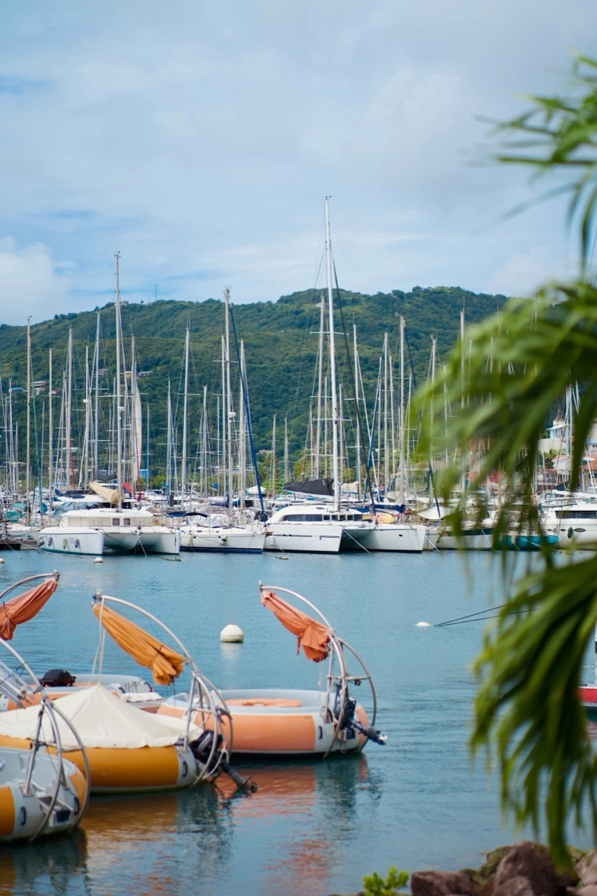 Voiliers et catamarans alignés dans une marina tropicale