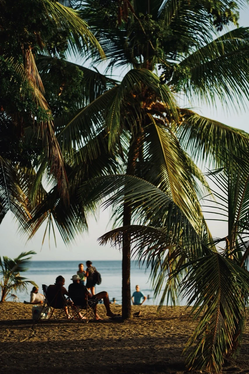 Palmes tropicales dominant une plage à l’ombre