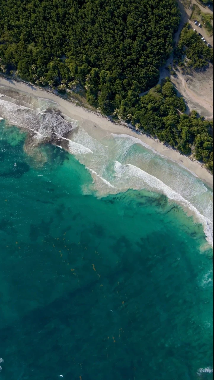 Vue aérienne verticale d’une plage tropicale bordée par une forêt dense